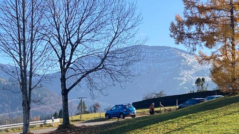 Appartement Schneerosenbluete, Oberstaufen/steibis Oberstaufen