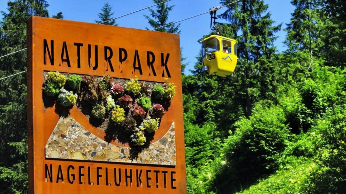 Schneerosenblüte, Oberstaufen/steibis Apartamento *