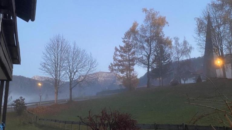Schneerosenbluete, Oberstaufen/steibis Oberstaufen